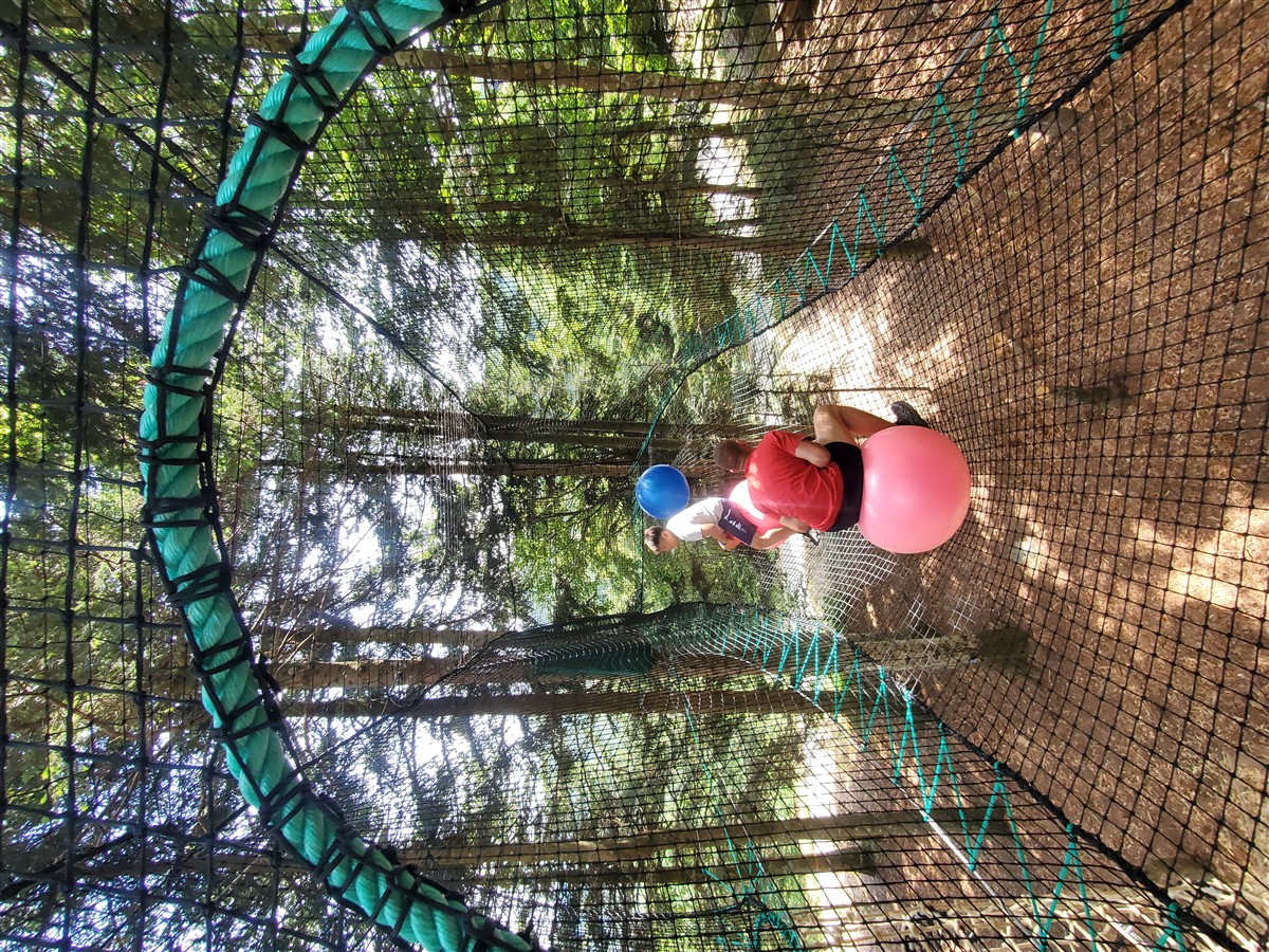 Parcours dans les arbres