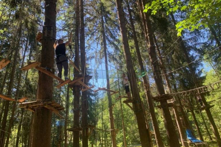 Filets dans les arbres