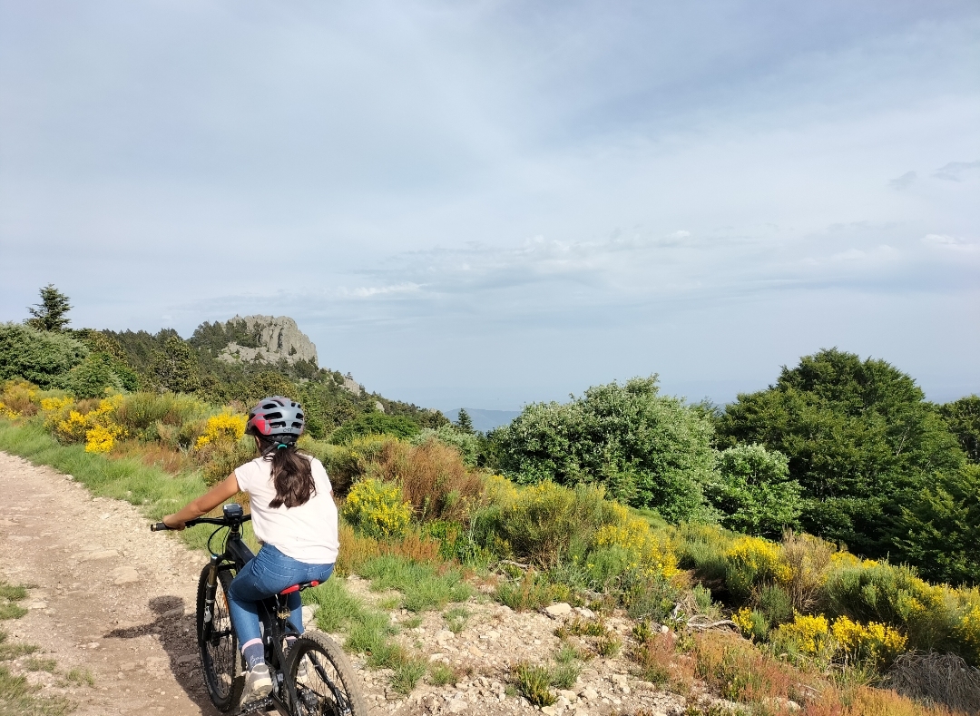 VTT à assistance électrique